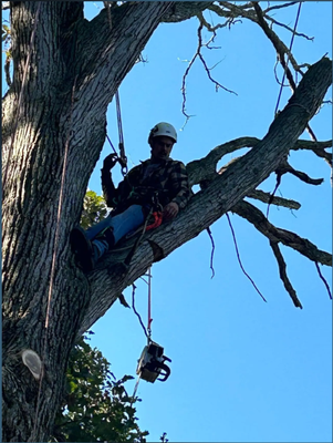 No Job Too Big – Expert Tree Services You Can Trust - At Tri State Tree Services, we specialize in tackling the toughest tree service challenges with precision and care. Whether it’s a massive tree removal, hazardous limb trimming, or large-scale land clearing, our experienced crew has the equipment and expertise to get the job done safely and efficiently. Fully licensed and insured, we pride ourselves on fast response times, fair pricing, and exceptional customer service. Big trees? Big jobs? Bring it on — we’ve got you covered. No Job Too Big – Expert Tree Services You Can Trust - At Tri State Tree Services, we specialize in tackling the toughest tree service challenges with precision and care. Whether it’s a massive tree removal, hazardous limb trimming, or large-scale land clearing, our experienced crew has the equipment and expertise to get the job done safely and efficiently. Fully licensed and insured, we pride ourselves on fast response times, fair pricing, and exceptional customer service. Big trees? Big jobs? Bring it on — we’ve got you covered.
