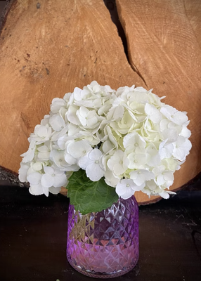 Small Bouquets - My smaller Bouquets are put into a vase around the size of a small mason jar or glass. Lots of gorgeous fillers and small buds and one or two larger focal flowers, customized to the event or your specifics! These bouquets are great for restaurant host stands, bars and wedding guest tables! Click the link below to see some of my smaller designs!
Prices Range from $30 and up Small Bouquets - My smaller Bouquets are put into a vase around the size of a small mason jar or glass. Lots of gorgeous fillers and small buds and one or two larger focal flowers, customized to the event or your specifics! These bouquets are great for restaurant host stands, bars and wedding guest tables! Click the link below to see some of my smaller designs!
Prices Range from $30 and up