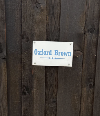 Staining Color Options - 100% oil based - Give your woodwork a fresh new look and lasting protection—inside and out.
We specialize in expert staining services for:
Fences
Decks
Pergolas
Patio Coverings
Gazebos
Garage Doors
Shutters
Posts
Beams
Decorative Trim
...and so much more!
From backyard fences to custom gazebos and elegant beams, we use premium stains that enhance beauty and shield against Texas weather. Our team treats every project with care and craftsmanship—so your wood stands out and stands strong.
Additional Services Available:
Minor Fence Repairs: Fix it and finish it all at once!
Power Washing: The perfect prep for long-lasting stain or a quick exterior refresh.
Why Choose Us?
Free Estimates & Honest Upfront Pricing
Local, Experienced Crews
Quality Materials for a Flawless Finish
Fast, Clean, Respectful Work
Satisfaction Guaranteed
Ready to upgrade your outdoor spaces? Staining Color Options - 100% oil based - Give your woodwork a fresh new look and lasting protection—inside and out.
We specialize in expert staining services for:
Fences
Decks
Pergolas
Patio Coverings
Gazebos
Garage Doors
Shutters
Posts
Beams
Decorative Trim
...and so much more!
From backyard fences to custom gazebos and elegant beams, we use premium stains that enhance beauty and shield against Texas weather. Our team treats every project with care and craftsmanship—so your wood stands out and stands strong.
Additional Services Available:
Minor Fence Repairs: Fix it and finish it all at once!
Power Washing: The perfect prep for long-lasting stain or a quick exterior refresh.
Why Choose Us?
Free Estimates & Honest Upfront Pricing
Local, Experienced Crews
Quality Materials for a Flawless Finish
Fast, Clean, Respectful Work
Satisfaction Guaranteed
Ready to upgrade your outdoor spaces?