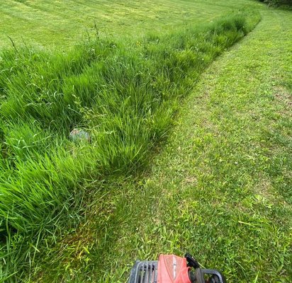 Maylee’s Lawn Care - Cheap lawn Care within Madison county ky, Free Estimates! Maylee’s Lawn Care - Cheap lawn Care within Madison county ky, Free Estimates!