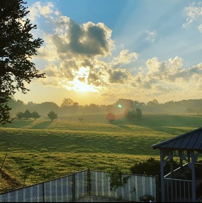 Relocation - 3178 Burgess Falls Rd Cookeville TN 38506. Beautiful 3 bed 3 bath home with stunning sunrise views. Priced to sell at $369,000. Enjoy relaxing by the pool in the cute gazebo! This home offers a large drive in basement with parking for up to 3 cars. Spacious den overlooking the pool is best place to sip your morning coffee and greet the sun over the rolling pastures. Located just outside of Cookeville city limits this home is in a perfect location to dining, shopping and entertainment. Call today for your showing or video walk through. MLS #217528. American Way Real Estate 931-525-9581 call or text listing agent directly 931-252-4587 Relocation - 3178 Burgess Falls Rd Cookeville TN 38506. Beautiful 3 bed 3 bath home with stunning sunrise views. Priced to sell at $369,000. Enjoy relaxing by the pool in the cute gazebo! This home offers a large drive in basement with parking for up to 3 cars. Spacious den overlooking the pool is best place to sip your morning coffee and greet the sun over the rolling pastures. Located just outside of Cookeville city limits this home is in a perfect location to dining, shopping and entertainment. Call today for your showing or video walk through. MLS #217528. American Way Real Estate 931-525-9581 call or text listing agent directly 931-252-4587