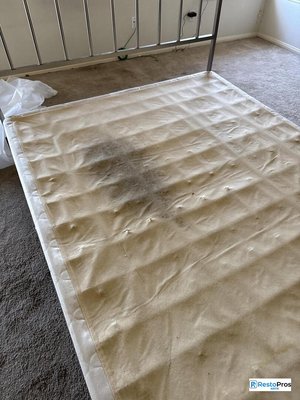 Bedroom & Bathroom Smoke Damage Restoration in Austin - Lingering fire & smoke damage in Austin followed an unexpected incident where a mattress began smoldering after heat was applied during cleaning. Smoke spread through the bedroom and adjoining bathroom, leaving behind a strong odor that made the spaces difficult for the homeowners to occupy. Our team documented the affected areas and properly took care of the problem, allowing the spaces to breathe once again. When you need smoke damage restoration, get in touch with our team at RestoPros of Austin. Bedroom & Bathroom Smoke Damage Restoration in Austin - Lingering fire & smoke damage in Austin followed an unexpected incident where a mattress began smoldering after heat was applied during cleaning. Smoke spread through the bedroom and adjoining bathroom, leaving behind a strong odor that made the spaces difficult for the homeowners to occupy. Our team documented the affected areas and properly took care of the problem, allowing the spaces to breathe once again. When you need smoke damage restoration, get in touch with our team at RestoPros of Austin.