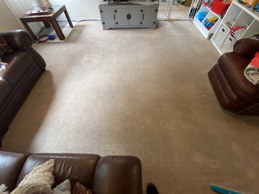 Carpet cleaning - Inspection: The carpet type, level of soiling, wear and traffic conditions, and other areas of concern are identified.
Protection: Corner guards are put in place to protect furniture, walls, and baseboards.
Vacuuming: A powerful vacuum collects loose and embedded debris.
Spot Treatment: Handheld brushes and scrubbers are used in conjunction with spot removers to eliminate as much of the stain(s) as possible.
Pre-treatment: A safe, non-toxic cleaning solution is sprayed on the carpet to pull contaminants out. 
Scrubbing: A groomer loosens the remaining debris and prepares crushed or matted fibers for deep cleaning.
Extraction: A professional extraction system first shoots hot water between 400-600psi into the carpet and then uses high-power suction to immediately remove the water and soil.
Conditioning: A conditioner is applied to neutralize the pre-treatment and leaves carpet feeling soft, fluffy, and free of residues.
Grooming: The carpet is reset using a rake to help eliminate matting and facilitate the drying process.