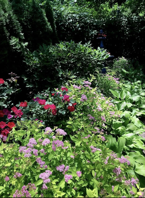 Lawn Service - As a passionate and detail-oriented landscaper, I specialize in creating sustainable, visually appealing outdoor environments tailored to client needs. My portfolio showcases a diverse range of projects from residential garden transformations to large-scale commercial landscape designs. Each project highlights my expertise in landscape planning, plant selection, hardscape installation, and maintenance, as well as eco-friendly practices. With a commitment to quality, creativity, and client satisfaction, my work enhances both the beauty and functionality of every space. Lawn Service - As a passionate and detail-oriented landscaper, I specialize in creating sustainable, visually appealing outdoor environments tailored to client needs. My portfolio showcases a diverse range of projects from residential garden transformations to large-scale commercial landscape designs. Each project highlights my expertise in landscape planning, plant selection, hardscape installation, and maintenance, as well as eco-friendly practices. With a commitment to quality, creativity, and client satisfaction, my work enhances both the beauty and functionality of every space.