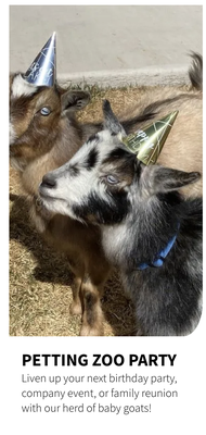 Goat Services - Firehouse Farms is dedicated to providing top-quality goat products and experiences. Whether you're interested in raw milk, goat milk soap, or want to include goats in your special event or surprise someone with a Goat-a-Gram, Firehouse Farms has got you covered. 

Our goats also love to kick back and relax! If you have a birthday party, wedding, family reunion or other special event coming up, we'd love to crash your party with our group of goats and some more experienced "party animals."