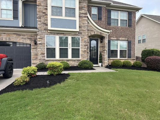 Landscaping - 2024 Home Landscape with Black Mulch and Bushes. Landscaping - 2024 Home Landscape with Black Mulch and Bushes.