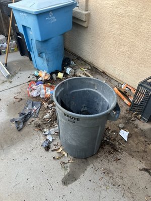 Junk Removal - Dealing with clutter and waste can be stressful, but eliminating it doesn't have to be. Whether you’re tackling a home DIY project or simply aiming to declutter, our dumpster rental and junk removal services in Phoenix area and surrounding can make the process simple. We provide various options, featuring transparent pricing and flexible scheduling. Junk Busters can take care of the mess, so you don’t have to and enjoya cleaner, an more organized space. Junk Removal - Dealing with clutter and waste can be stressful, but eliminating it doesn't have to be. Whether you’re tackling a home DIY project or simply aiming to declutter, our dumpster rental and junk removal services in Phoenix area and surrounding can make the process simple. We provide various options, featuring transparent pricing and flexible scheduling. Junk Busters can take care of the mess, so you don’t have to and enjoya cleaner, an more organized space.