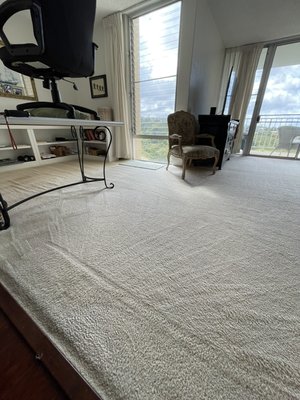 Stain removal & odor sanitizing on this white rug for our precious customer - This carpet cleaning was for our regular customer who had unfortunately acquired stains. We came in and removed all the stains and refreshed the carpets. Stain removal & odor sanitizing on this white rug for our precious customer - This carpet cleaning was for our regular customer who had unfortunately acquired stains. We came in and removed all the stains and refreshed the carpets.