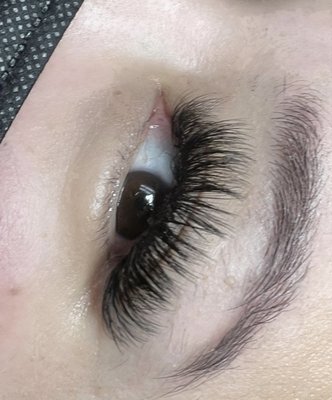 Lash Extensions - Full Volume Set 12-16mm
Full Hybrid Set 11-13mm Lash Extensions - Full Volume Set 12-16mm
Full Hybrid Set 11-13mm