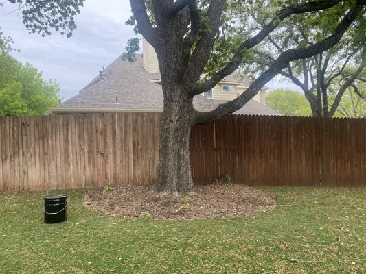 Staining project - The owner of this fairly large backyard in Southlake, Texas wanted a fresh look for spring/summer season. She had her fence perimeter, pergolas, and enclosed patio all oil base stained. Oil base stain is used because it will hold up to the weather patterns better than the water base stain will. Staining project - The owner of this fairly large backyard in Southlake, Texas wanted a fresh look for spring/summer season. She had her fence perimeter, pergolas, and enclosed patio all oil base stained. Oil base stain is used because it will hold up to the weather patterns better than the water base stain will.