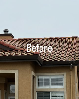 Roof Pressure Wash - This home is my mother in laws home, my first project I had done this month of June 2025. Had lots of moss, algae, and mold. Great turn out. Need to do better on before and after pictures. Roof Pressure Wash - This home is my mother in laws home, my first project I had done this month of June 2025. Had lots of moss, algae, and mold. Great turn out. Need to do better on before and after pictures.