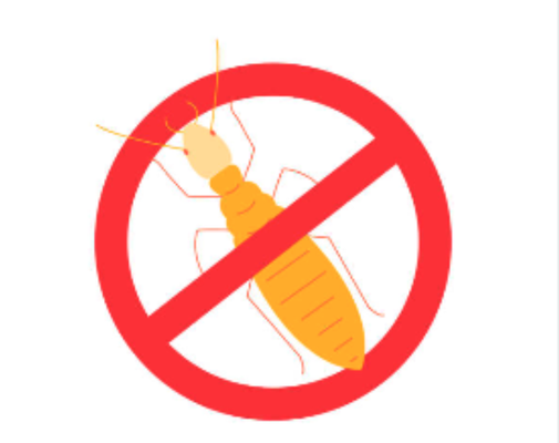 Termite Inspections & Treatments - Termite Inspections & Treatments