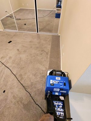 Carpet Deep cleaning - At Moore Lux Detailing, we don’t just clean cars—we elevate homes too. Our professional carpet cleaning service uses powerful extraction system combined with eco-friendly, non-toxic products to remove deep-set dirt, stains, and odors from your carpets.
Whether you're prepping for guests, moving in/out, or just want a fresh start, we restore your carpets to a soft, clean, and refreshed state—safely and effectively.
🧼 What’s Included:
✔️ Pre-treatment for high-traffic areas and tough stains
✔️ Deep carpet steam cleaning with Rug Doctor system
✔️ Eco-friendly, pet- and child-safe deodorizer
✔️ Spot treatment for stains and odors
✔️ Fast-drying process for minimal downtime Carpet Deep cleaning - At Moore Lux Detailing, we don’t just clean cars—we elevate homes too. Our professional carpet cleaning service uses powerful extraction system combined with eco-friendly, non-toxic products to remove deep-set dirt, stains, and odors from your carpets.
Whether you're prepping for guests, moving in/out, or just want a fresh start, we restore your carpets to a soft, clean, and refreshed state—safely and effectively.
🧼 What’s Included:
✔️ Pre-treatment for high-traffic areas and tough stains
✔️ Deep carpet steam cleaning with Rug Doctor system
✔️ Eco-friendly, pet- and child-safe deodorizer
✔️ Spot treatment for stains and odors
✔️ Fast-drying process for minimal downtime