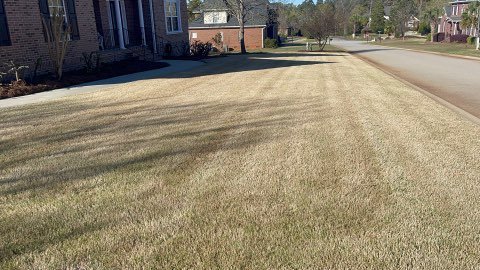 Lawn care service and Pinestraw application - This is a lawn we completed today March 15, 2023. Mowing, hedge trimming, edging, blowing and pinestraw application. This is only the second service for this yard and our customer is very happy with how it is looking. Now that we have it cleaned up, our customer can enjoy their lawn all year long.