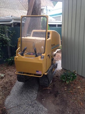 Stump Grinding Spokane - We have multiple top of the industry stump grinders for all your stump grinding needs here in Spokane,Wa. Where it be a large fir tree stump or a small arbor vitae shrub stump, we can handle it for you. All our machines will access a standard backyard man gate, down to 3ft width. Stump Grinding Spokane - We have multiple top of the industry stump grinders for all your stump grinding needs here in Spokane,Wa. Where it be a large fir tree stump or a small arbor vitae shrub stump, we can handle it for you. All our machines will access a standard backyard man gate, down to 3ft width.