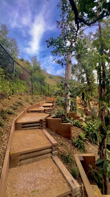 Hillside Management - In this Hollywood Hills project we transformed this steep unusable backyard into an aesthetic, usable and erosion preventing yard. 

We added a security fence, plants, jute netting, a gravel path, steps for accessibility, trees, a drip irrigation system and some mulch!