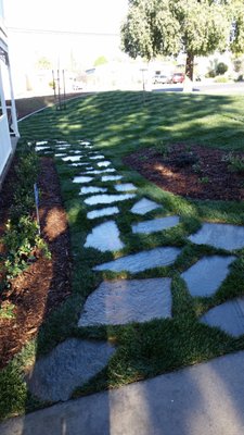 Sod Installation - Say goodbye to patchy grass and hello to a lush, green lawn—instantly. Our sod installation service gives your yard a complete makeover in just one day, with premium, locally sourced sod and expert installation that ensures long-term growth and durability.

From soil prep to the final roll-out, we handle every step with precision, leaving you with a smooth, healthy lawn that’s ready to enjoy right away.