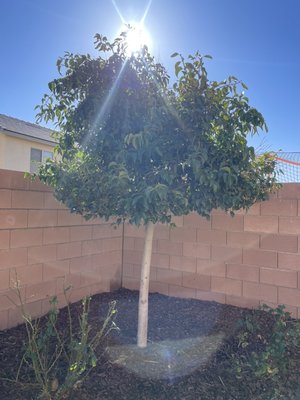 first clean up to start maintenance on this property - first clean up to start maintenance on this property first clean up to start maintenance on this property - first clean up to start maintenance on this property