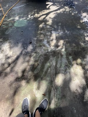 Driveway surface cleaning - Customer in Wahiawa requested a cleaning of his driveway.  There was some oil and moss covering the surface. We handled this with a surface cleaner head in no time.