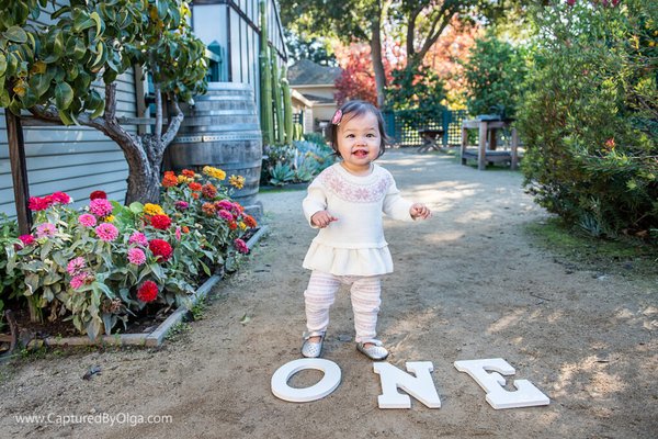 1 year old photo session - Outdoor family photo session at the beautiful park in Palo Alto. Parents, grandparents, 2 kids: 1 year old and 3 years old. Please contact me for pricing and details. 1 year old photo session - Outdoor family photo session at the beautiful park in Palo Alto. Parents, grandparents, 2 kids: 1 year old and 3 years old. Please contact me for pricing and details.