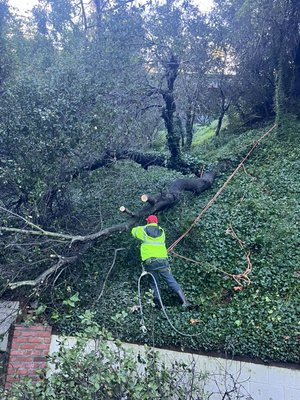 Emergency calls - Emergency calls  fallen trees. Full cleanup