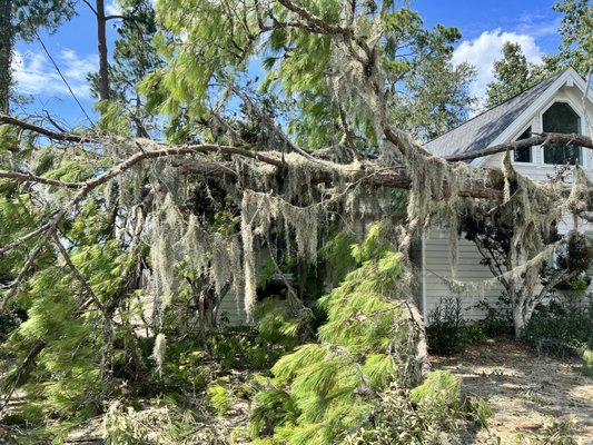 Tree Removal - A recent storm came through the area and a huge tree landed on this house. Richmond Tree Experts GA took swift action to restore the homeowners peace of mind. Tree Removal - A recent storm came through the area and a huge tree landed on this house. Richmond Tree Experts GA took swift action to restore the homeowners peace of mind.