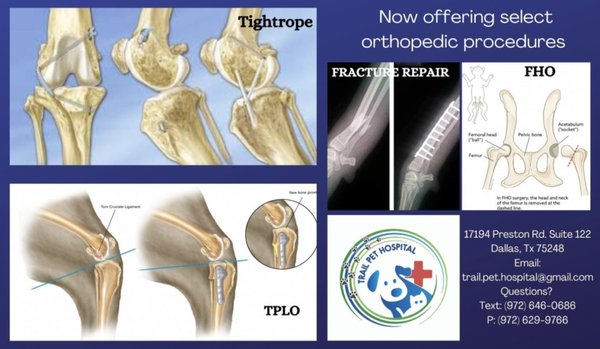 Orthopedic/Vaccine Clinic - These are some more information on our services