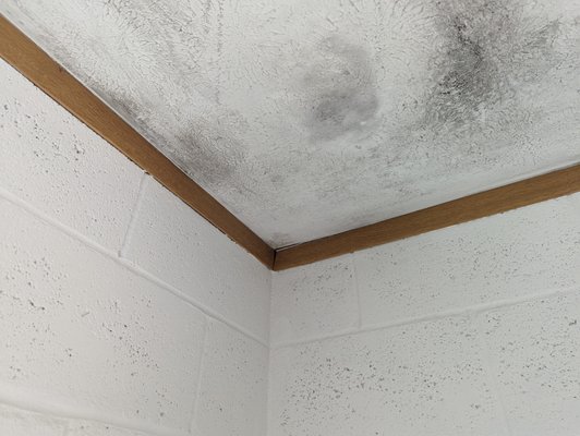 Mold Remediation - These are two different units in Honolulu with mold damages to ceiling and walls. Our team worked on securing the spaces that are contaminated by mold before working on removing the affected areas. This way, we ensure to scrub the air off any mold spores that can cause future build up. Mold Remediation - These are two different units in Honolulu with mold damages to ceiling and walls. Our team worked on securing the spaces that are contaminated by mold before working on removing the affected areas. This way, we ensure to scrub the air off any mold spores that can cause future build up.