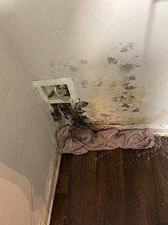 Mold Restoration - Breathe Easy Again!
With 5 years of trusted experience, we specialize in fast, reliable mold restoration to make your home safe and fresh. Call us today—your healthy home starts here! Mold Restoration - Breathe Easy Again!
With 5 years of trusted experience, we specialize in fast, reliable mold restoration to make your home safe and fresh. Call us today—your healthy home starts here!