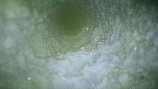 Dryer Vent Obstruction - Customer called us in on 09/16/23 with concerns about his dryer taking a long time to dry. Proceeded with our free inspection by running our camera to take photos all throughout the pipe. We found tons and tons of lint that had accumulated causing dryer to have poor airflow and overall not functioning well. Customer approved our quote and we got it all cleaned out for him. Dryer Vent Obstruction - Customer called us in on 09/16/23 with concerns about his dryer taking a long time to dry. Proceeded with our free inspection by running our camera to take photos all throughout the pipe. We found tons and tons of lint that had accumulated causing dryer to have poor airflow and overall not functioning well. Customer approved our quote and we got it all cleaned out for him.