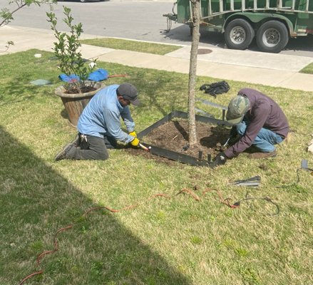 Tree Service - We offer tree services in Austin and surrounding areas. Tree Service - We offer tree services in Austin and surrounding areas.