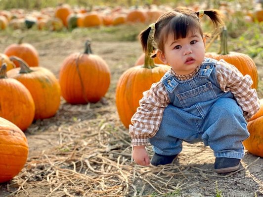 Harvest Festival 2024 - Fall Fun Awaits at Swans Trail Farms! (Sept 14th - Oct 31st)
Looking for the ultimate family outing this fall? Swans Trail Farms is THE #1 destination for an unforgettable fall family experience.
Come explore our Pumpkin Patch, with over 30 varieties pumpkins of all shapes and sizes. Navigate the famous Washington State Corn Maze filled with over 250 state roads and 400 towns, landmarks, and historical facts.
Come watch our farmer-led Pig Show and Duck Races!
Then grab the whole family and take a ride on the Cow Train, soar on Zip-lines, and conquer the 50ft slides. Hungry? Savor warm cider donuts, fresh pressed cider, and other delicious treats.
Don’t forget to check out the adorable animals including a mini zebu, goats, pigs, and more!
Make this harvest season memorable with activities for everyone. Start a fun fall tradition with us and create memories that last a lifetime! Harvest Festival 2024 - Fall Fun Awaits at Swans Trail Farms! (Sept 14th - Oct 31st)
Looking for the ultimate family outing this fall? Swans Trail Farms is THE #1 destination for an unforgettable fall family experience.
Come explore our Pumpkin Patch, with over 30 varieties pumpkins of all shapes and sizes. Navigate the famous Washington State Corn Maze filled with over 250 state roads and 400 towns, landmarks, and historical facts.
Come watch our farmer-led Pig Show and Duck Races!
Then grab the whole family and take a ride on the Cow Train, soar on Zip-lines, and conquer the 50ft slides. Hungry? Savor warm cider donuts, fresh pressed cider, and other delicious treats.
Don’t forget to check out the adorable animals including a mini zebu, goats, pigs, and more!
Make this harvest season memorable with activities for everyone. Start a fun fall tradition with us and create memories that last a lifetime!