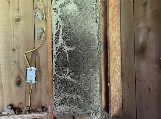 Termite Services - BugMeNot Pest Control® is Beaumont, Texas area’s #1 termite service! Using Integrated Pest Management (IPM), we provide effective termite protection with proven methods you can trust. Don’t wait—call today and let the top experts handle your termite problems!