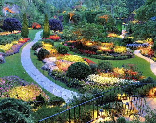 Landscaping - What We Offer in Landscaping
We offer a wide range of landscape design services and outdoor upgrades tailored to your space:

Custom landscape design and installation
Irrigation system installation
Tree, flower, and bush planting
Sod installation and turf upgrades
Hardscaping (paths, patios, retaining walls)


Whether you're dreaming of fresh flowers or a full sod installation, we’re here to make it happen—reach out today and let’s start digging in!