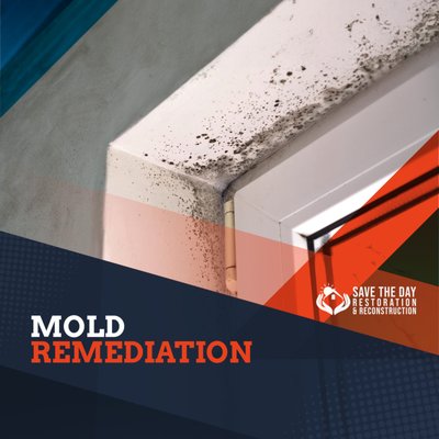 Mold Testing & Remediation for a Mold-Infested Kitchen - Mold and mildew growth in kitchens are common due to the high levels of moisture and humidity in the area. Mold exposure can cause health issues, such as asthma and skin irritation. This is why it's important to hire experts for mold removal. Save The Day Restoration specializes in mold testing, removal or remediation, and restoration in Los Angeles. Mold Testing & Remediation for a Mold-Infested Kitchen - Mold and mildew growth in kitchens are common due to the high levels of moisture and humidity in the area. Mold exposure can cause health issues, such as asthma and skin irritation. This is why it's important to hire experts for mold removal. Save The Day Restoration specializes in mold testing, removal or remediation, and restoration in Los Angeles.