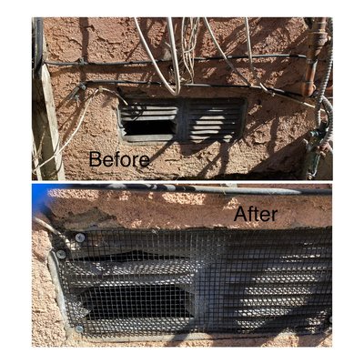 Damaged subarea vents allowing rodents into structure. - We will inspect your office/home and find the entry points and give you options to seal or rescreen those points of entry. Give us a call, it will be a pleasure to solve your pest problems.