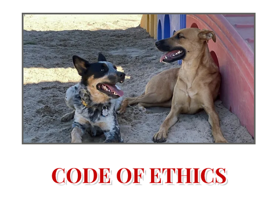 Code Of Ethics - The work does not just stop with Camp...
Love Dogs Camp seeks to go above and beyond for the welfare of ALL dogs. Code Of Ethics - The work does not just stop with Camp...
Love Dogs Camp seeks to go above and beyond for the welfare of ALL dogs.
