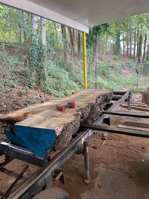 Sawmill - Atlanta Specialty Woods has two sawmills on site that are used to custom mill anything up to 53" wide and 30' long. We have a Timberking 1400 which is a horizontal band sawmill that cuts a maximum width of 29" and 20' long. Our Stihl 880 has a 59" bar and a maximum cut width of 53" which we use for the larger logs that other sawmills cannot process. Sawmill - Atlanta Specialty Woods has two sawmills on site that are used to custom mill anything up to 53" wide and 30' long. We have a Timberking 1400 which is a horizontal band sawmill that cuts a maximum width of 29" and 20' long. Our Stihl 880 has a 59" bar and a maximum cut width of 53" which we use for the larger logs that other sawmills cannot process.