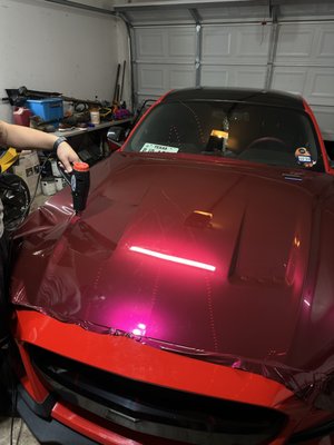 Full Wrap Process - This was a full wrap we completed on a 2018 Ford Mustang (fun fact: this is our most visited kind of car!)