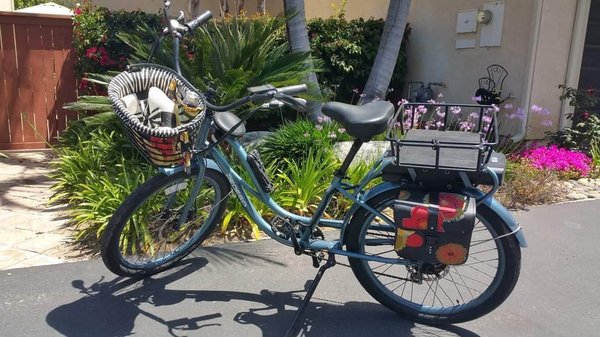 An Oldie But Goodie - The owner of this fabulous Mineral Blue Interceptor made her own basket liner and applied the flowers from the fabric to the panniers. An Oldie But Goodie - The owner of this fabulous Mineral Blue Interceptor made her own basket liner and applied the flowers from the fabric to the panniers.