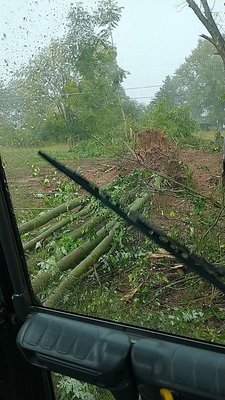 Removal of trees and cleaned up a fence line for a new fence to put up - I remove trees on this property and cleaned up the fence line so a new fence could be put up all