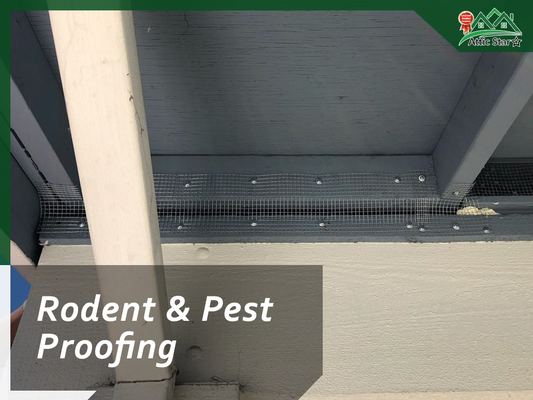 Wire Mesh Pest Proofing - Rodent proofing and pest control using wire mesh.