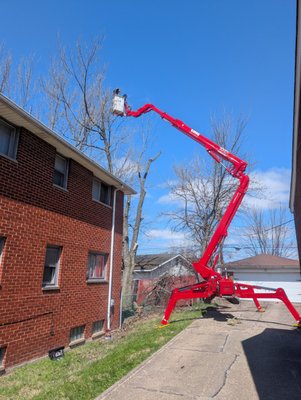 Our Equipment - We have the right tools and equipment for any job no matter the size. From start to finish we can make it look like us or the tree were never even there. Our Equipment - We have the right tools and equipment for any job no matter the size. From start to finish we can make it look like us or the tree were never even there.