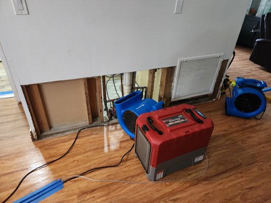 Water Damage Restoraion - Our emergency dryout services quickly respond to water damage incidents, using advanced equipment to restore your property efficiently. We prioritize speed and thoroughness to minimize damage and prevent mold growth, ensuring your space is dry and safe as soon as possible.