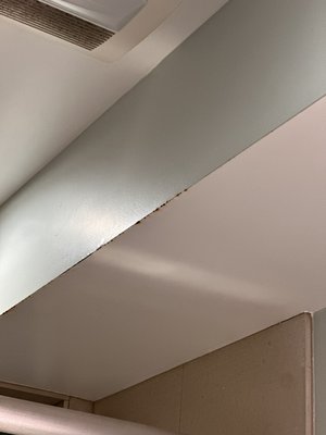 Removing rust in bathroom and paint - The client reached out with an issue of rust forming on the corner seam of their bathtub. They had tried painting over it multiple times, but the rust kept coming through the paint layer, and the same problem reappeared. I helped the client resolve this issue by thoroughly removing the rust using a sander, then applying a specialized chemical treatment that reacts with the rust to prevent it from coming back. Only after waiting 24 hours can paint be applied, ensuring that rust will not appear in that spot for the next 10-15 years. The client was very satisfied. Removing rust in bathroom and paint - The client reached out with an issue of rust forming on the corner seam of their bathtub. They had tried painting over it multiple times, but the rust kept coming through the paint layer, and the same problem reappeared. I helped the client resolve this issue by thoroughly removing the rust using a sander, then applying a specialized chemical treatment that reacts with the rust to prevent it from coming back. Only after waiting 24 hours can paint be applied, ensuring that rust will not appear in that spot for the next 10-15 years. The client was very satisfied.