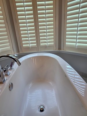 regular cleaning. home owner has 2 lab retrievers. There is always a lot of dust and hair. - basic cleaning of the bathroom. top to bottom gets cleaned. regular cleaning. home owner has 2 lab retrievers. There is always a lot of dust and hair. - basic cleaning of the bathroom. top to bottom gets cleaned.