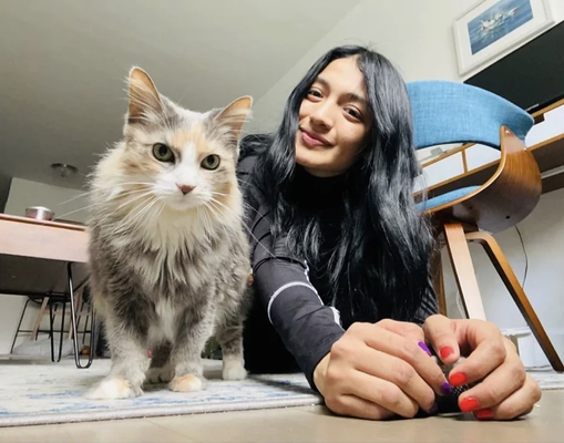 Pet Sitting - For guardians who will be at home having fun with our team member while their owners
are enjoying a pleasant outing for a few hours.                               

$30/Hour