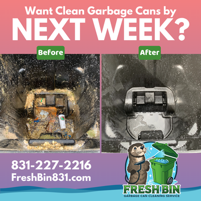 Garbage cleaning - We use high-pressure, 200+ degree water jets to blast away grime, bacteria, and odors—no harsh chemicals needed. The process removes built-up residue, maggots, and germs.