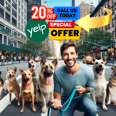 Our Services - Professional Dog Walking & Boarding in NYC! Your pup deserves the best care—whether it's a stroll through the neighborhood or an overnight stay in a cozy home environment.
Dog Walks Choose from solo or buddy walks tailored to your pet's personality!
30-Minute Walk 🚶♂️
45-Minute Walk 🌳
60-Minute Walk 🏃♂️
Boarding & Sitting Reliable overnight care in your home—or ours!
24-Hour Stay 🏡
Half-Day Hang-Out 🐾
📲 Easy & Convenient Payment Options We accept Venmo, Zelle, and PayPal, with more options coming soon! Our Services - Professional Dog Walking & Boarding in NYC! Your pup deserves the best care—whether it's a stroll through the neighborhood or an overnight stay in a cozy home environment.
Dog Walks Choose from solo or buddy walks tailored to your pet's personality!
30-Minute Walk 🚶♂️
45-Minute Walk 🌳
60-Minute Walk 🏃♂️
Boarding & Sitting Reliable overnight care in your home—or ours!
24-Hour Stay 🏡
Half-Day Hang-Out 🐾
📲 Easy & Convenient Payment Options We accept Venmo, Zelle, and PayPal, with more options coming soon!