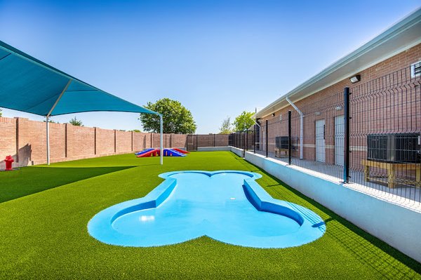 Vacation Time is Coming! - When you go on vacation where does your dog vacation?  UltiMutts McKinney offers top notch boarding, daycare and grooming facilities for your pup(s).  Check us out - take a tour or call us for help!  We love dogs and offer great amenities for them while they are watched over by a trained K-9 staff.  WE LOVE DOGS! Let us give your dog the UltiMutt experience.